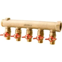 Collecteur 5 Sorties - MF 1" - Avec Vanne M 1/2" - Riquier