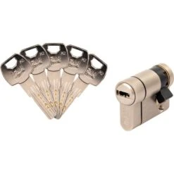 Demi-cylindre F6S+ Varié Nickelé - Ifam