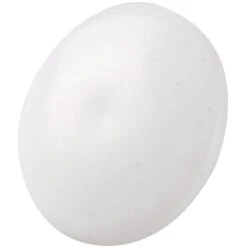 Cache Vis Plastique Blanc - Vis à Trou - Sachet De 500 Pièces - Spax