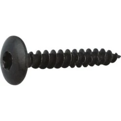 Vis Penture Tête Cylindrique Bombé T30 - Ø 6 Mm - 25 Mm - Zingué Noir - Boîte De 250 Pièces - Viswood