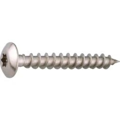 Vis Penture Tête Cylindrique Bombé T30 - Ø 6 Mm - 30 Mm - Inox - Boîte De 100 Pièces - Viswood